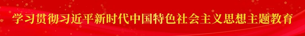 學(xué)習(xí)貫徹習(xí)近平新時(shí)代中國(guó)特色社會(huì)主義思想主題教育